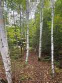 4488 KAWAGAMA LAKE ROAD | Lake of Bays Ontario | Slide Image Twelve