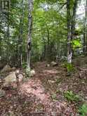 4488 KAWAGAMA LAKE ROAD | Lake of Bays Ontario | Slide Image Thirteen