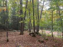 4488 KAWAGAMA LAKE ROAD | Lake of Bays Ontario | Slide Image Seventeen