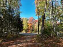4488 KAWAGAMA LAKE ROAD | Lake of Bays Ontario | Slide Image Nineteen