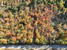 4488 KAWAGAMA LAKE ROAD | Lake of Bays Ontario | Slide Image Twenty-eight