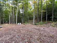 4488 KAWAGAMA LAKE ROAD | Lake of Bays Ontario | Slide Image Two