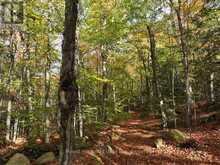 4488 KAWAGAMA LAKE ROAD | Lake of Bays Ontario | Slide Image Thirty-four