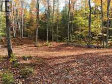 4488 KAWAGAMA LAKE ROAD | Lake of Bays Ontario | Slide Image Thirty-seven