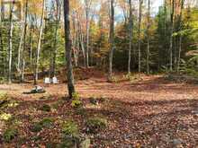 4488 KAWAGAMA LAKE ROAD | Lake of Bays Ontario | Slide Image Thirty-eight