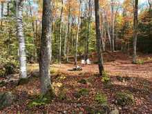 4488 KAWAGAMA LAKE ROAD | Lake of Bays Ontario | Slide Image Forty