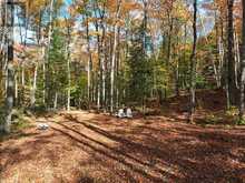 4488 KAWAGAMA LAKE ROAD | Lake of Bays Ontario | Slide Image Forty-one