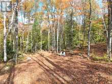 4488 KAWAGAMA LAKE ROAD | Lake of Bays Ontario | Slide Image Forty-two