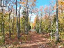 4488 KAWAGAMA LAKE ROAD | Lake of Bays Ontario | Slide Image Forty-three
