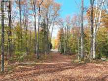 4488 KAWAGAMA LAKE ROAD | Lake of Bays Ontario | Slide Image Forty-four