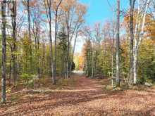 4488 KAWAGAMA LAKE ROAD | Lake of Bays Ontario | Slide Image Forty-five