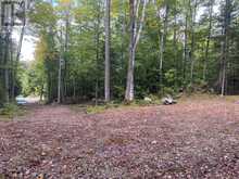 4488 KAWAGAMA LAKE ROAD | Lake of Bays Ontario | Slide Image Six