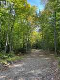 4488 KAWAGAMA LAKE ROAD | Lake of Bays Ontario | Slide Image Seven