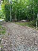 4488 KAWAGAMA LAKE ROAD | Lake of Bays Ontario | Slide Image Nine