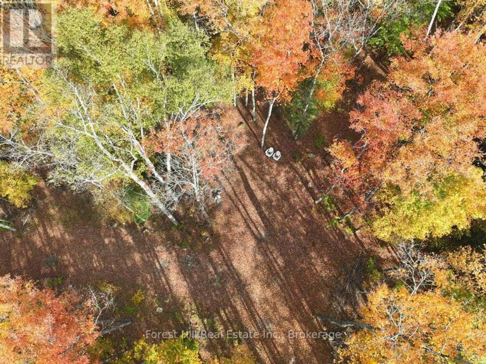 4488 KAWAGAMA LAKE ROAD, Lake of Bays, Ontario P0A 1E0