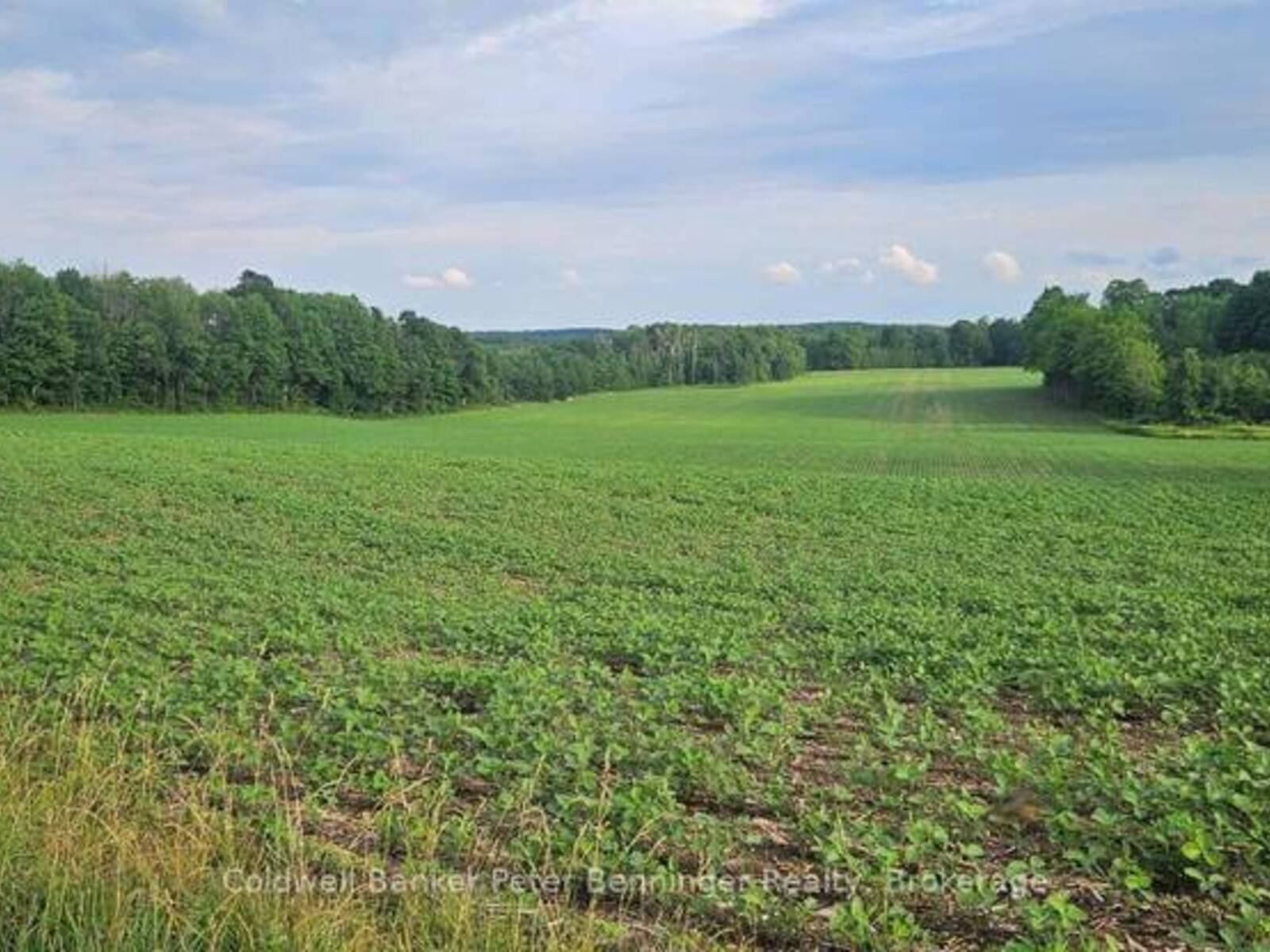 521268 CONCESSION 12 N, West Grey, Ontario N0G 1S0