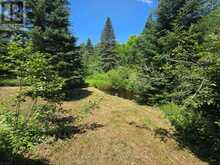 2011 NORTH SHORE ROAD | Algonquin Highlands Ontario | Slide Image Five