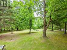 138 KIONONTIO TRAIL | The Blue Mountains Ontario | Slide Image Five
