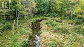 LOT 20 BEIERS ROAD | Gravenhurst Ontario | Slide Image Thirteen