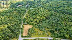 LOT 20 BEIERS ROAD | Gravenhurst Ontario | Slide Image Sixteen