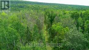 502354 GREY ROAD 1 ROAD | Georgian Bluffs Ontario | Slide Image Forty-one