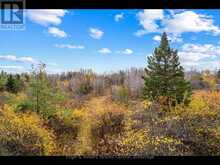 429560 8TH B CONCESSION | Grey Highlands Ontario | Slide Image Three