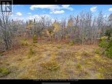 429560 8TH B CONCESSION | Grey Highlands Ontario | Slide Image Four