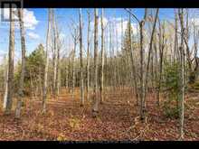 429560 8TH B CONCESSION | Grey Highlands Ontario | Slide Image Six