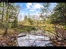 429560 8TH B CONCESSION | Grey Highlands Ontario | Slide Image Seven