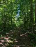 35 SIDEROAD 10A | South Bruce Ontario | Slide Image Thirty-seven
