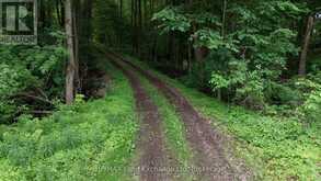 35 SIDEROAD 10A | South Bruce Ontario | Slide Image Thirty-nine