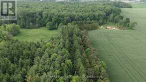 35 SIDEROAD 10A | South Bruce Ontario | Slide Image Forty-five