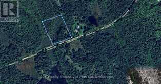 1988 ROYSTON ROAD | Magnetawan Ontario | Slide Image Twelve