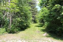 1988 ROYSTON ROAD | Magnetawan Ontario | Slide Image Ten