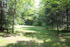 1988 ROYSTON ROAD | Magnetawan Ontario | Slide Image Eight