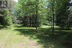 1988 ROYSTON ROAD | Magnetawan Ontario | Slide Image Nine