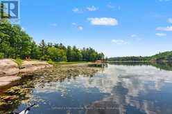 834 EASTSHORE ROAD | Bala Ontario | Slide Image Forty