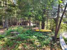 LOT 31 ROCK LAKE ROAD | South Algonquin Ontario | Slide Image Nine