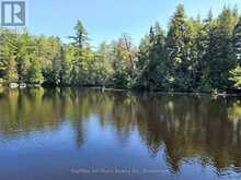 LOT 31 ROCK LAKE ROAD | South Algonquin Ontario | Slide Image Three