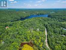 (PART 2) 25 LONG LAKE ESTATES ROAD | McDougall Ontario | Slide Image Twelve