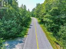 (PART 2) 25 LONG LAKE ESTATES ROAD | McDougall Ontario | Slide Image Four
