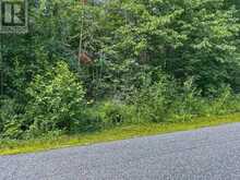 (PART 2) 25 LONG LAKE ESTATES ROAD | McDougall Ontario | Slide Image Five