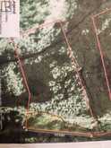530 CLEARWATER LAKE ROAD | Huntsville Ontario | Slide Image Nineteen