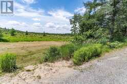 530 CLEARWATER LAKE ROAD | Huntsville Ontario | Slide Image Twelve