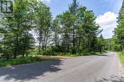 530 CLEARWATER LAKE ROAD | Huntsville Ontario | Slide Image Sixteen