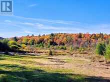 530 CLEARWATER LAKE ROAD | Huntsville Ontario | Slide Image One