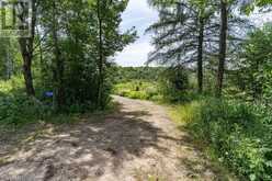 530 CLEARWATER LAKE ROAD | Huntsville Ontario | Slide Image Four