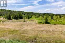 530 CLEARWATER LAKE ROAD | Huntsville Ontario | Slide Image Eight