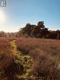 PTLT 39 CON 25 N E | Georgian Bluffs Ontario | Slide Image Twelve