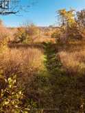 PTLT 39 CON 25 N E | Georgian Bluffs Ontario | Slide Image Thirteen